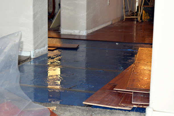 Professional Basement Flood Cleanup technician working in Detroit, ME